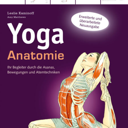 Yoga Anatomie